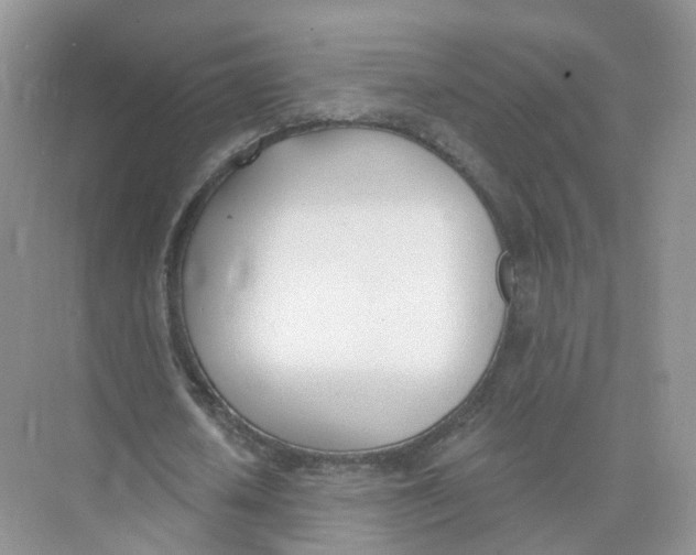 X0000073870626200608312053