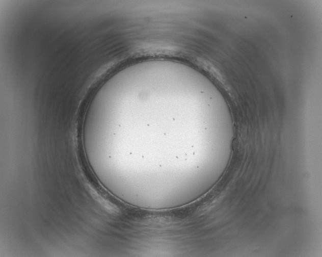 X0000073870629200608312053