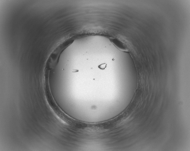 X0000073870630200608312053