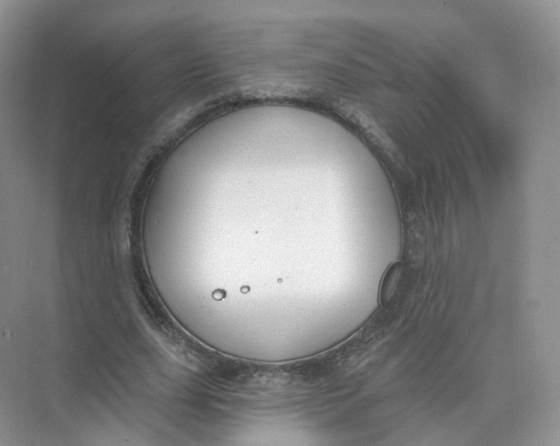 X0000073870631200608312053