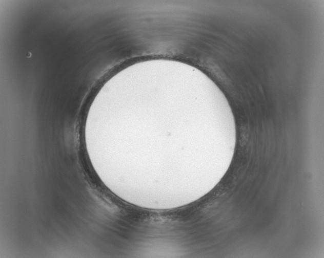 X0000073870632200608312053