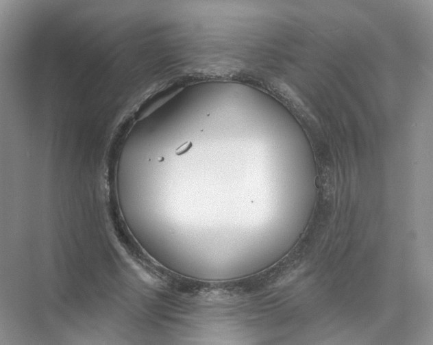 X0000073870634200608312053