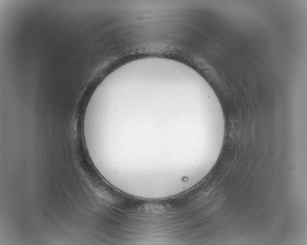 X0000073870636200608312053