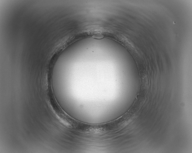 X0000073870638200608312053