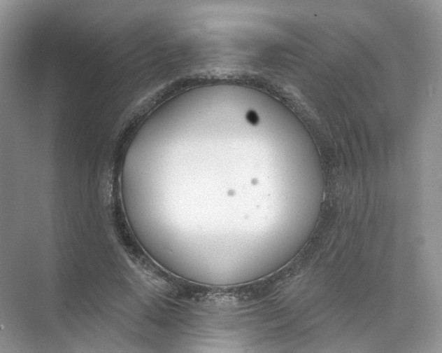 X0000073870640200608312053