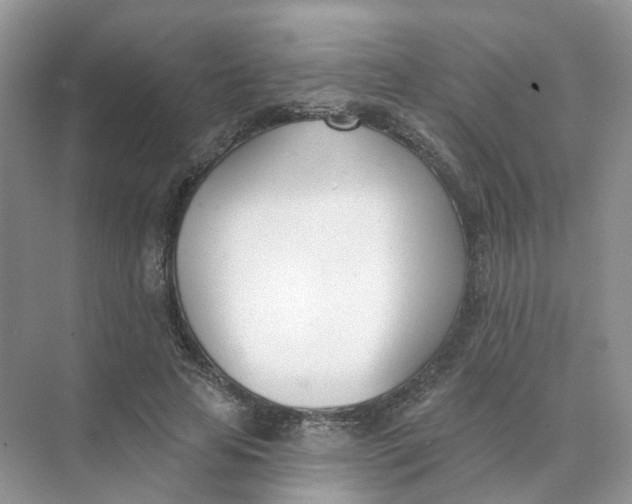 X0000073870641200608312053