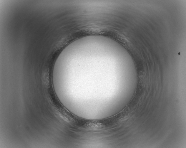 X0000073870642200608312053