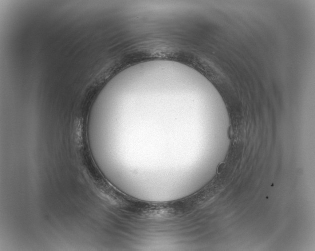 X0000073870646200608312053