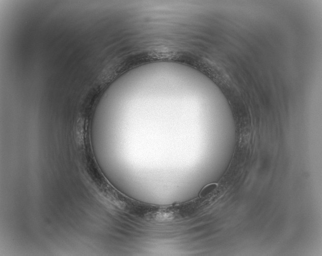 X0000073870647200608312053