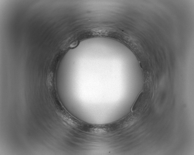 X0000073870649200608312054