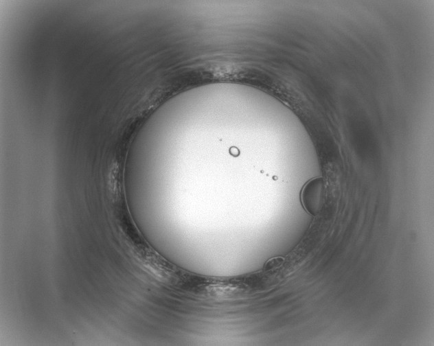 X0000073870650200608312054