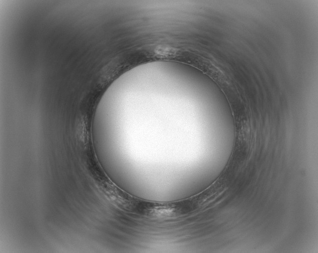 X0000073870651200608312054