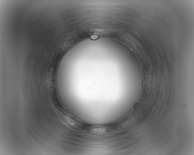 X0000073870653200608312054