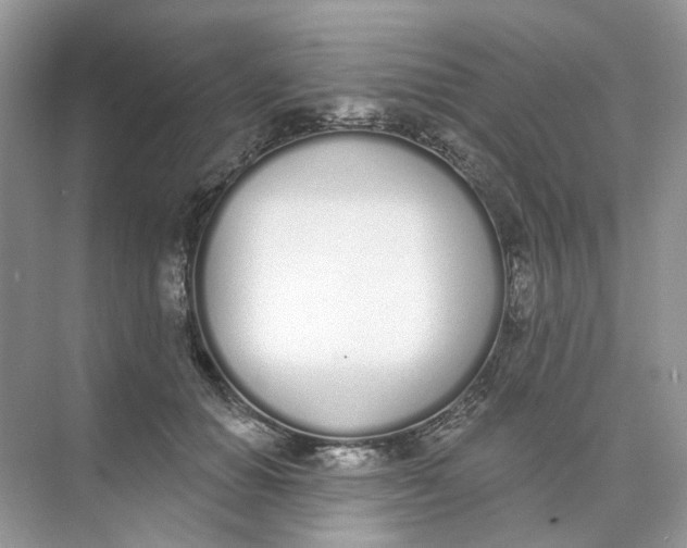 X0000073870654200608312054