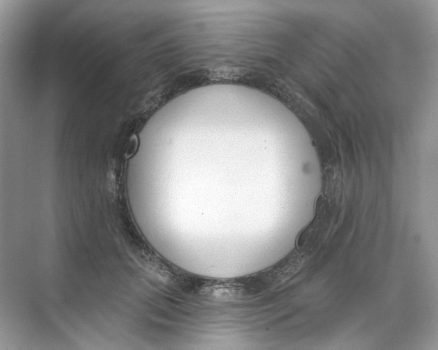 X0000073870655200608312054