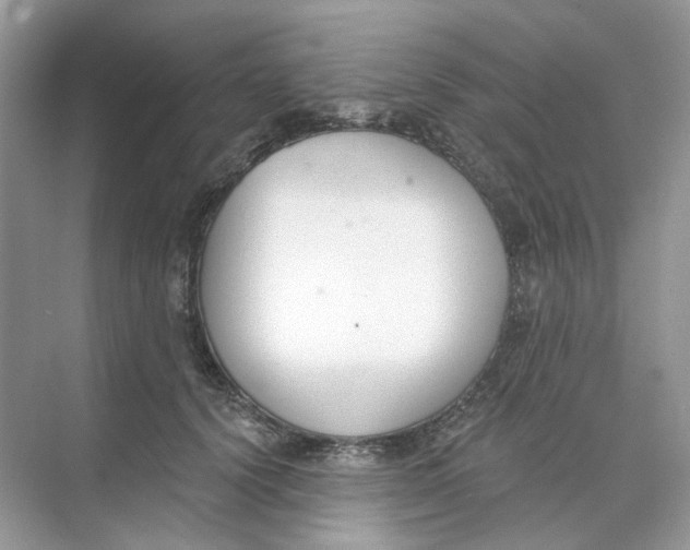 X0000073870656200608312054