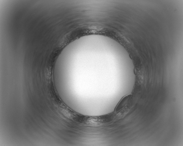 X0000073870657200608312054