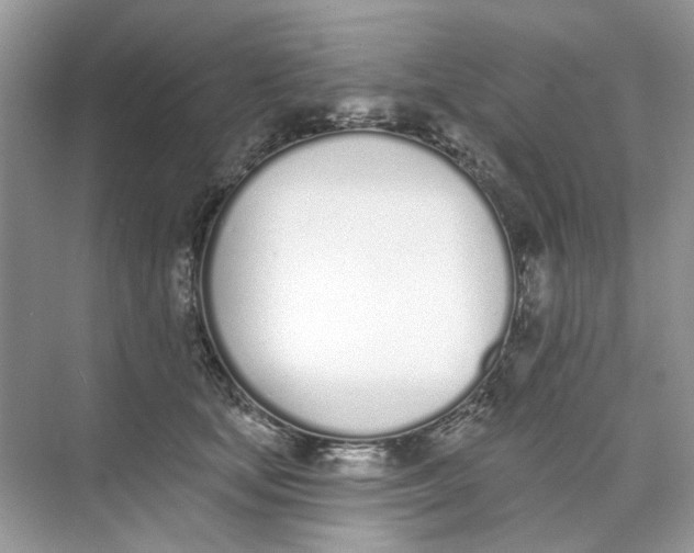 X0000073870659200608312054