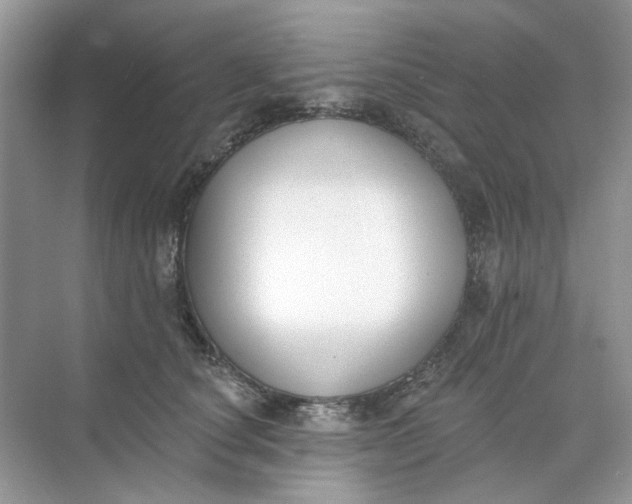 X0000073870660200608312054