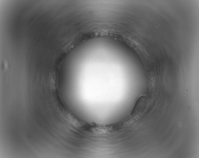 X0000073870661200608312054