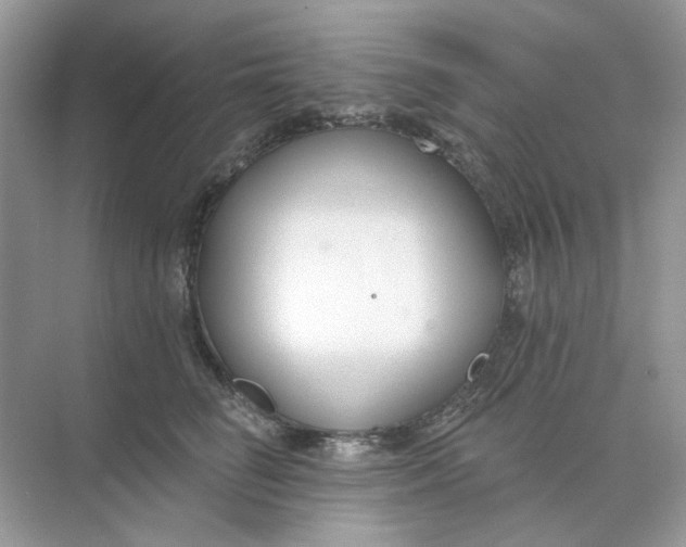 X0000073870662200608312054