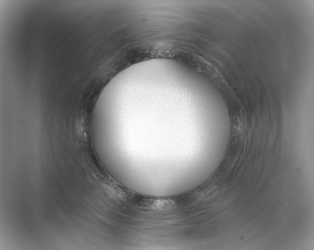 X0000073870663200608312054