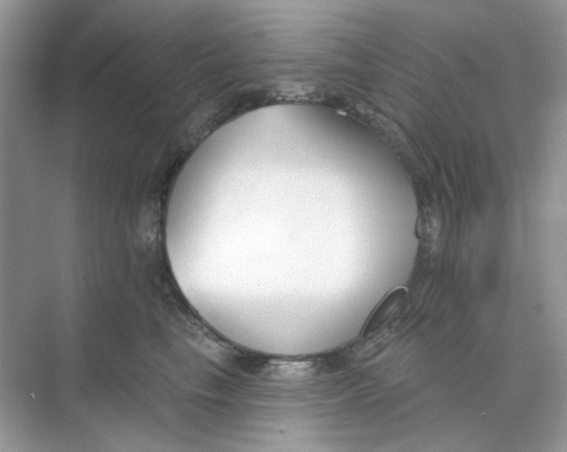 X0000073870665200608312054