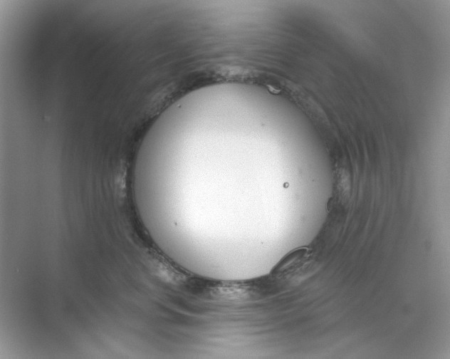 X0000073870668200608312054