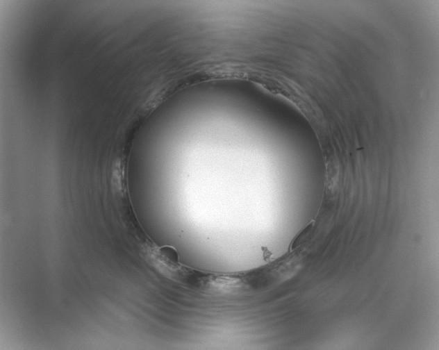 X0000073870669200608312054