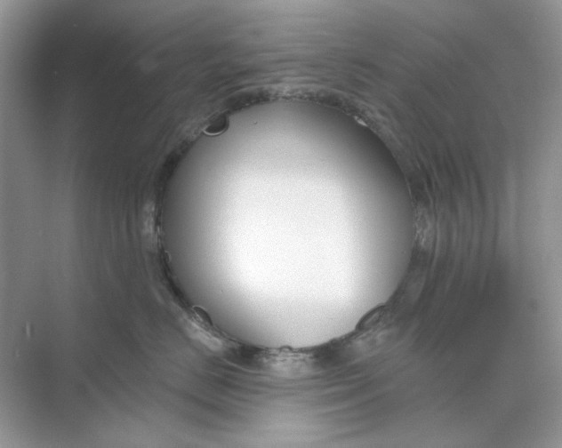 X0000073870670200608312054