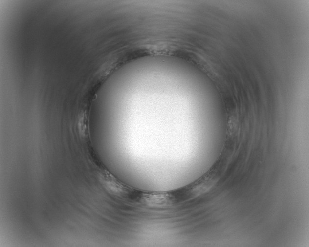 X0000073870671200608312054