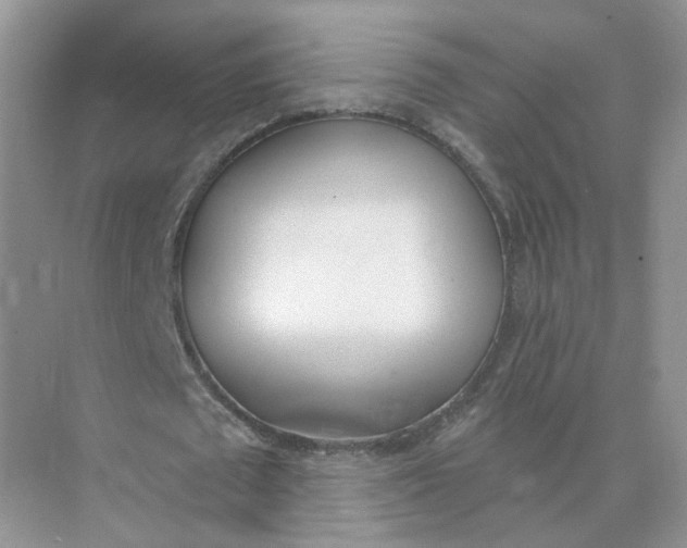 X0000073870673200608312053