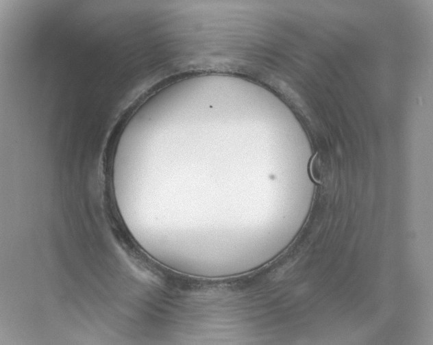 X0000073870674200608312053