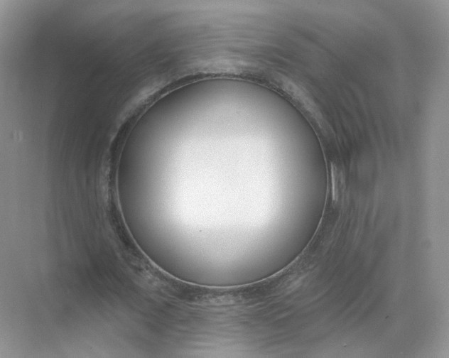 X0000073870675200608312053