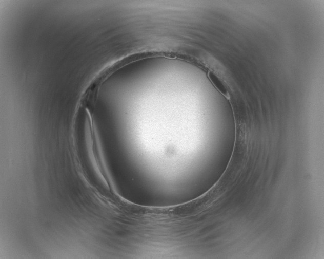 X0000073870676200608312053