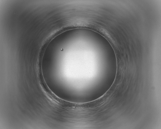 X0000073870677200608312053