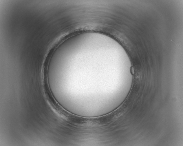 X0000073870678200608312053