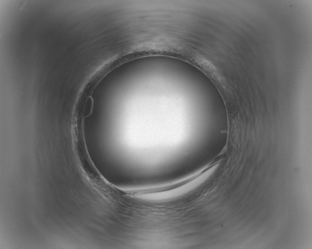 X0000073870680200608312053