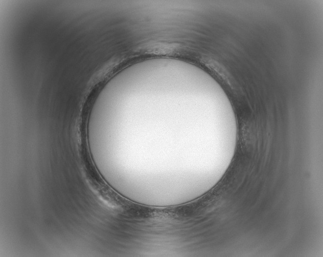 X0000073870682200608312053