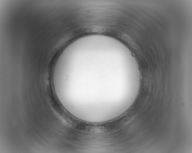 X0000073870683200608312053