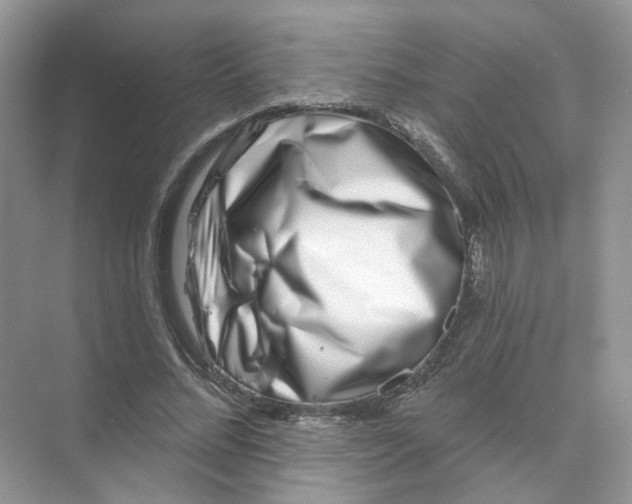 X0000073870684200608312053