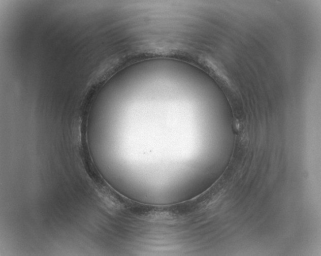 X0000073870685200608312053