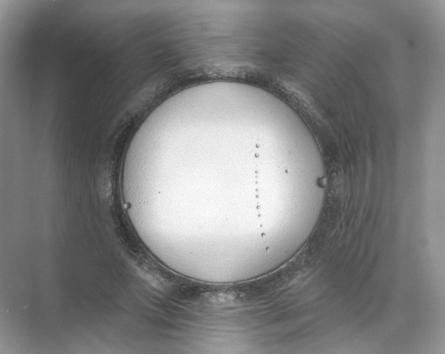 X0000073870687200608312053