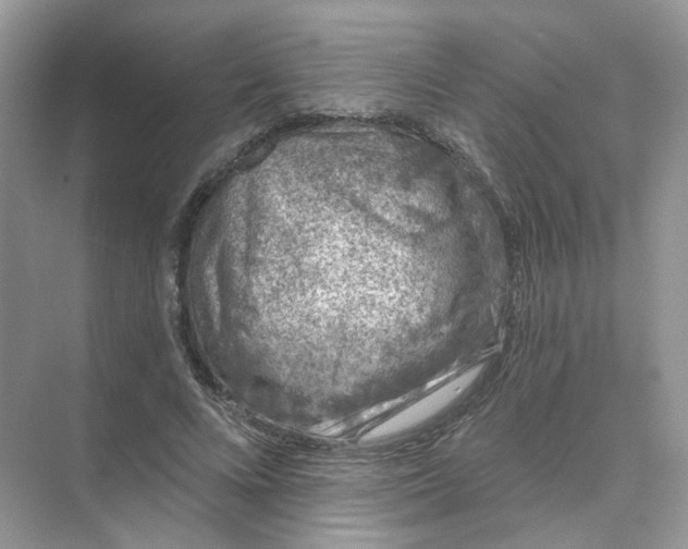 X0000073870688200608312053