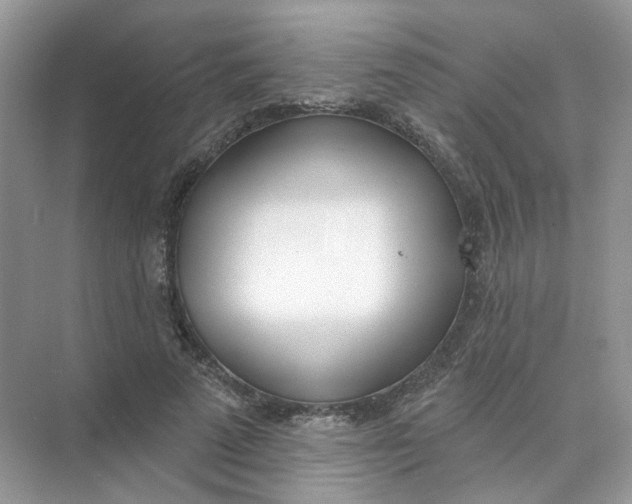 X0000073870689200608312053