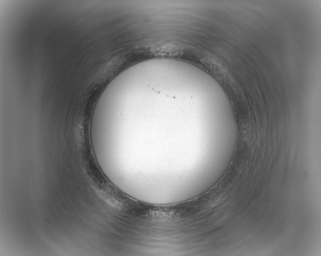 X0000073870690200608312053