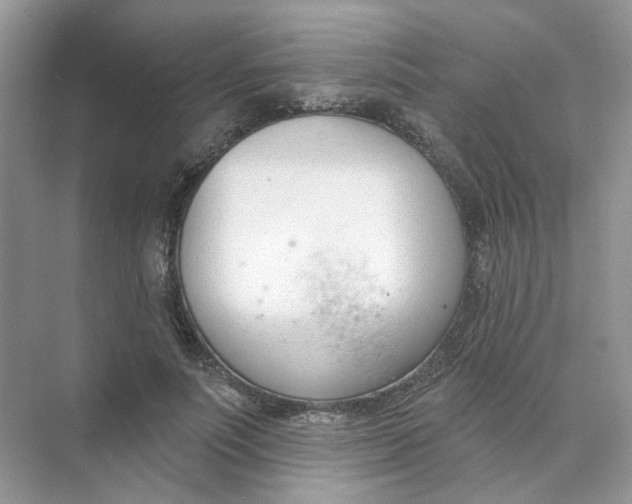 X0000073870691200608312053