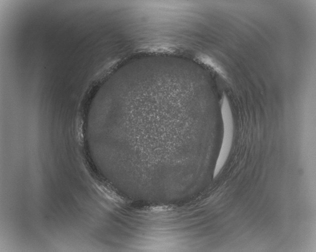 X0000073870692200608312053