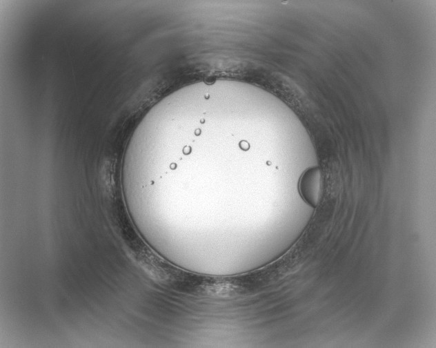 X0000073870695200608312053