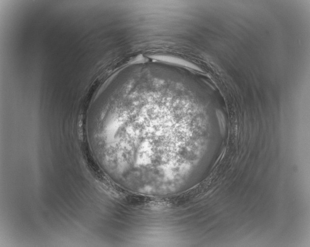 X0000073870696200608312053